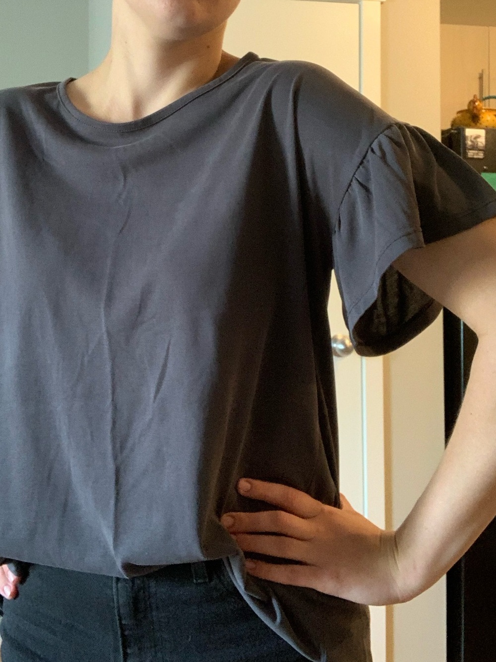 Orange Creek Charcoal Oversized T-shirt with Ruffled Sleeves